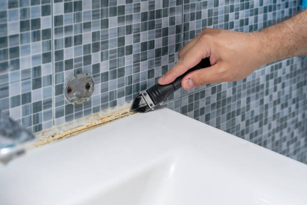Best Residential Mold Removal  in Preston, IA